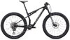 GIANT Anthem Advanced SL 0 raw carbon S
