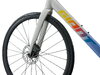 GIANT Contend SL 1 birch gray M